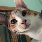 Brandon Lovell - @blovell.05 - Instagram