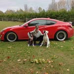 @brandon.lovely - Instagram