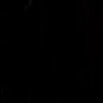 Brandon Lovera - Facebook
