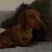 Brandon Loveridge - Facebook