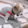 ️ - @brandon.lucio11 - TikTok