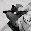 Brandon_L - @brandon_lucio - TikTok