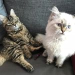 Lucy & Brandon - @lucy_brandon_thekiddos - Instagram