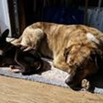 Brandon Ludwig - @ludwig4060 - Instagram