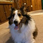 Brandon Ludwig - @ludwig3887 - Instagram
