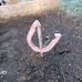 Brandon Lueck - Facebook