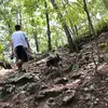 Brandon MacDonald - @bmac91297 - TikTok