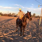Brandon Leon - @brandonmaciel675 - Instagram