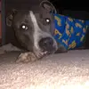 brandonmadison000 - @brandonmadison000 - TikTok