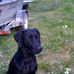 Brandon Maes - Facebook