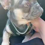 Brandon Major - @brandonmajor08 - Instagram