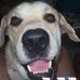 Brandon Major - Facebook