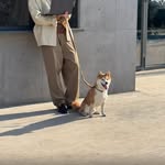 タク - @brandonmark_884 - Instagram
