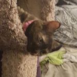 Brandon Matthies - @brandon.matthies.77 - Instagram