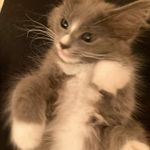 Brandon McAfee - @brandon_22_2 - Instagram
