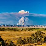 Brandon McCarty - @mccarty_brandon - Instagram