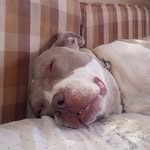 Brandon McClendon - @brandonmcclendon709 - Instagram