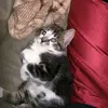 Brandon McGhee - @brandon.mcghee4 - TikTok