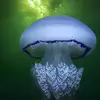 Brandon_McGraw - @user6386074670328 - TikTok