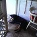 Brandon McLean - Facebook