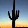 Brandon McNeely - @brandon.mcneely - TikTok