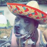 Brandon Mcphee - @nannymcphee22 - Instagram
