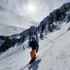 Brandon McPhee - @bmcphee - TikTok