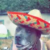 brandonmcphee418 - @brandonmcphee418 - TikTok