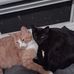 Brandon Meeks - Facebook