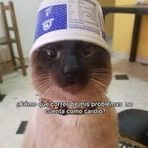 Brandon Mena - Facebook