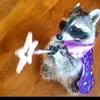 Brandon Mena - @brandon.mena75 - TikTok