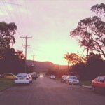 Brandon Milligan - @brandon_milligan - Instagram