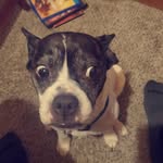 Brandon Moats - @bmoats6564 - Instagram