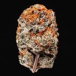 Brandon Moberly - @brandon.moberly - Instagram