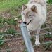 Brandon Moen - Facebook