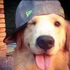 brandonymonse67 - @brandonymonse67 - TikTok