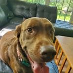Brandon Morton - Facebook
