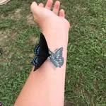 Brandon Mull - @brandonmull72 - Instagram