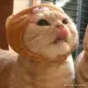 brandonnavarro1207 - @brandonnavarro1207 - TikTok