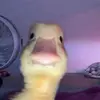 Brandon - @brandon.needs.a.mullet - TikTok