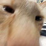 Brandon - @brandon_nunnink - Instagram