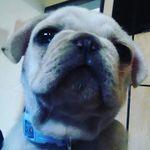Brandon Nunn - @who_else_but_dobby - Instagram