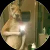 Brandon Osorio - @brandon.osorio10 - TikTok