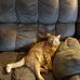 Brandon Otto - Facebook