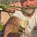 Brandon Otto - Facebook