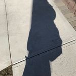 Brandon Packer - @packer_brandon - Instagram