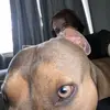 Brandon Partin - @brandonpartin - TikTok