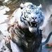 Brandon Peralta - Facebook