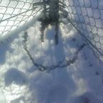 Brandon Petty - @pistachio_909 - Instagram