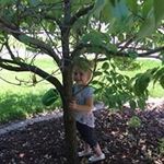 Brandon Petty - @mxstar43 - Instagram
